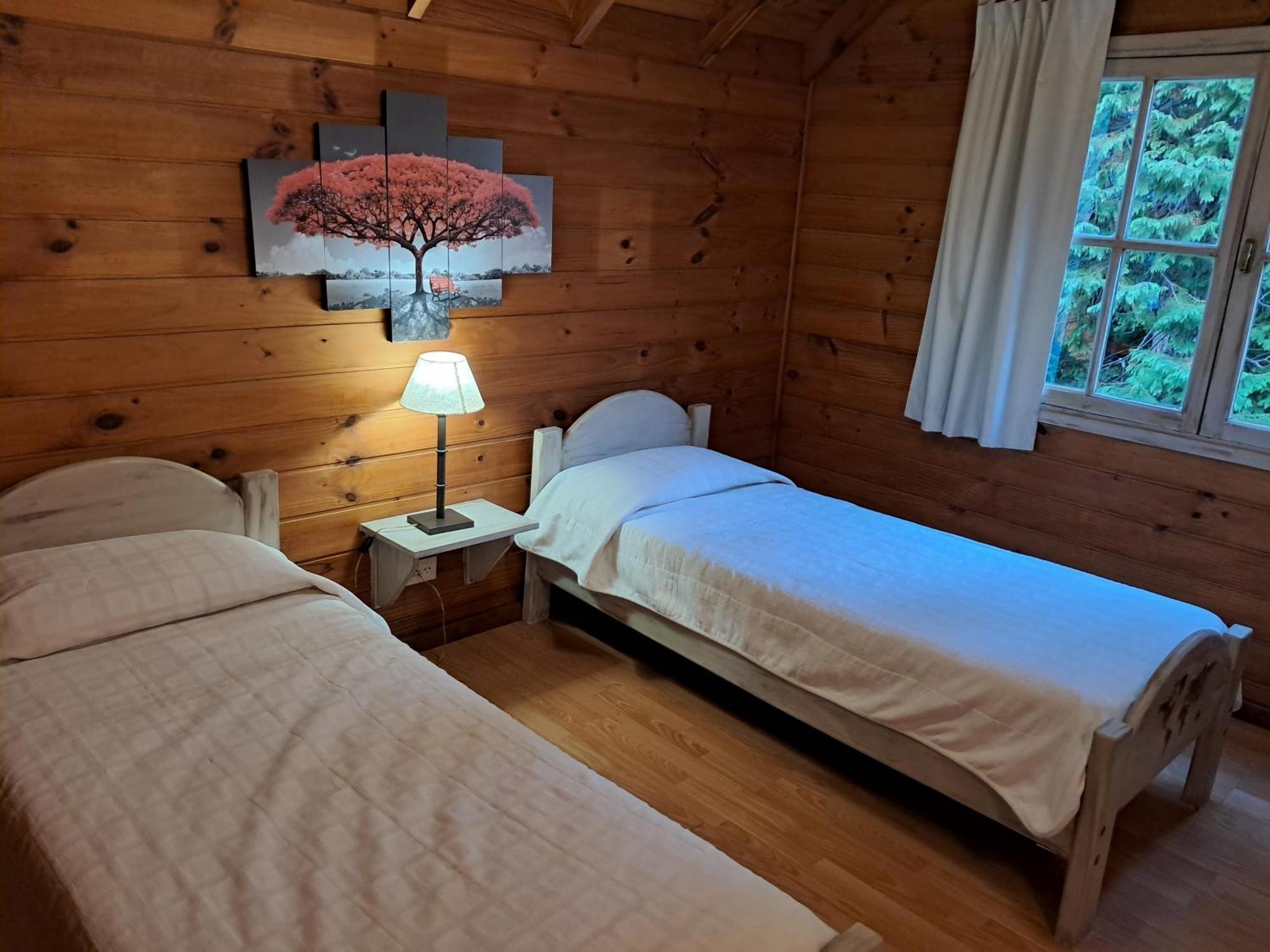 Cabanas Matilde 1 San Martín de los Andes Eksteriør billede